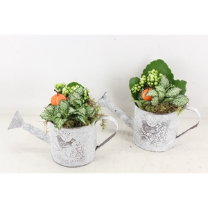 arr2 TD - Zink gieter - wit