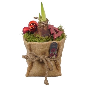 PTACH2550 Arrangementen Kerst