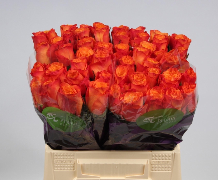 <h4>R GR CONFIDENTIAL</h4>