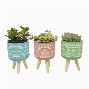 Succulent mix 8,5 cm in gekleurde pot op 3 pootjes