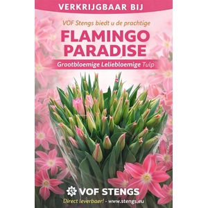 Tu Li Flamingo Paradise