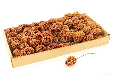 <h4>Stem Sabulosum Cream O/w 80pc</h4>