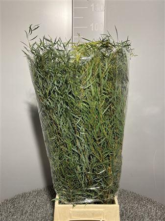 Euca Nicoli 300gr France