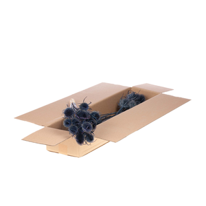 Chardon 55cm Sb Dark Blue