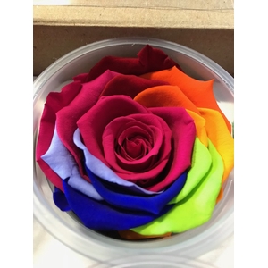 Roos XL Rainbow pin-03