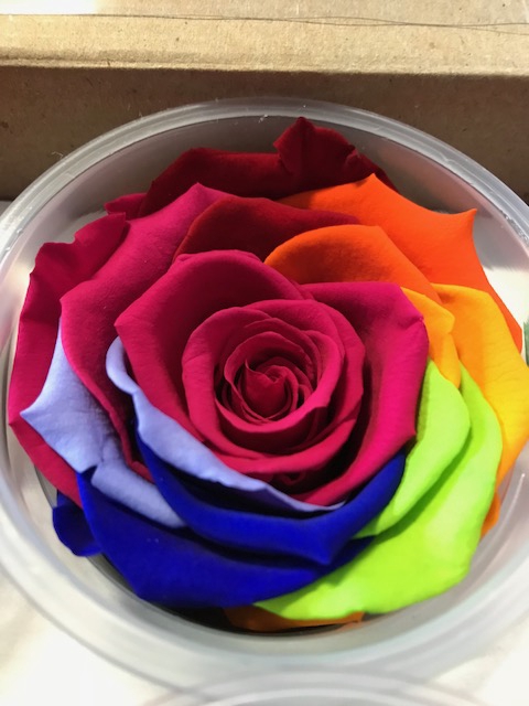 Roos XL Rainbow pin-03