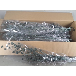 DF Lavatera Bs Grey 120g