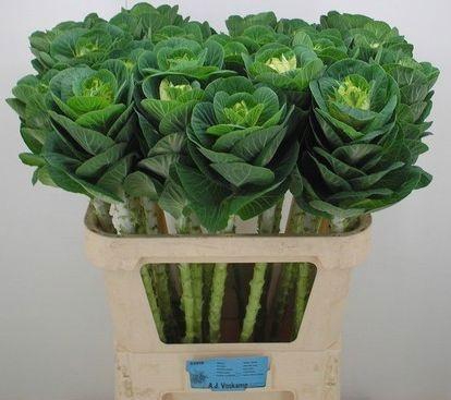 <h4>BRASS WHITE CRANE</h4>