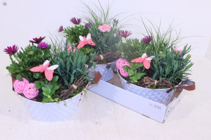 <h4>ARR TUINPLANTEN</h4>