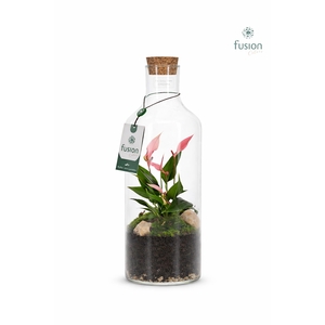 Green Bottle Fles Medium met Anthurium