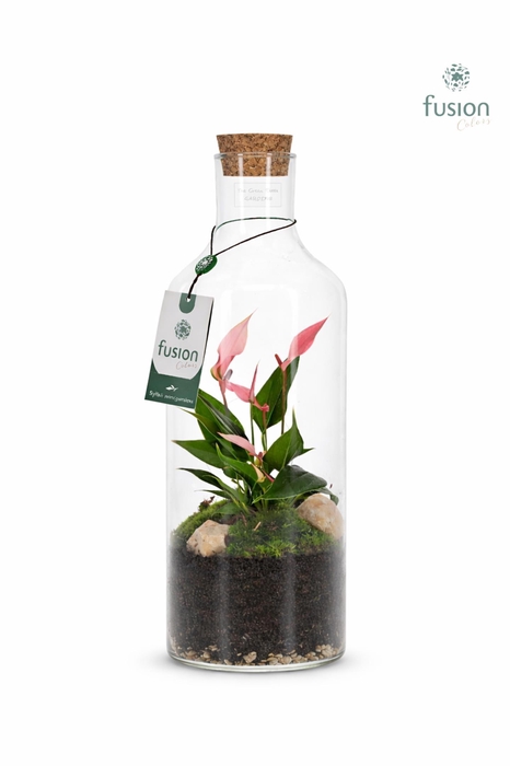 <h4>Green Bottle Fles Medium met Anthurium</h4>