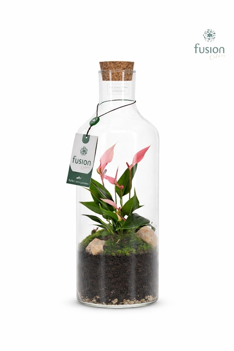<h4>Green Bottle Fles Medium met Anthurium</h4>