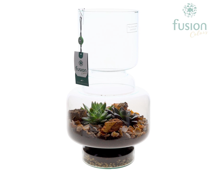 <h4>Green Bottle Lotte Large met Maritiem arrangement</h4>