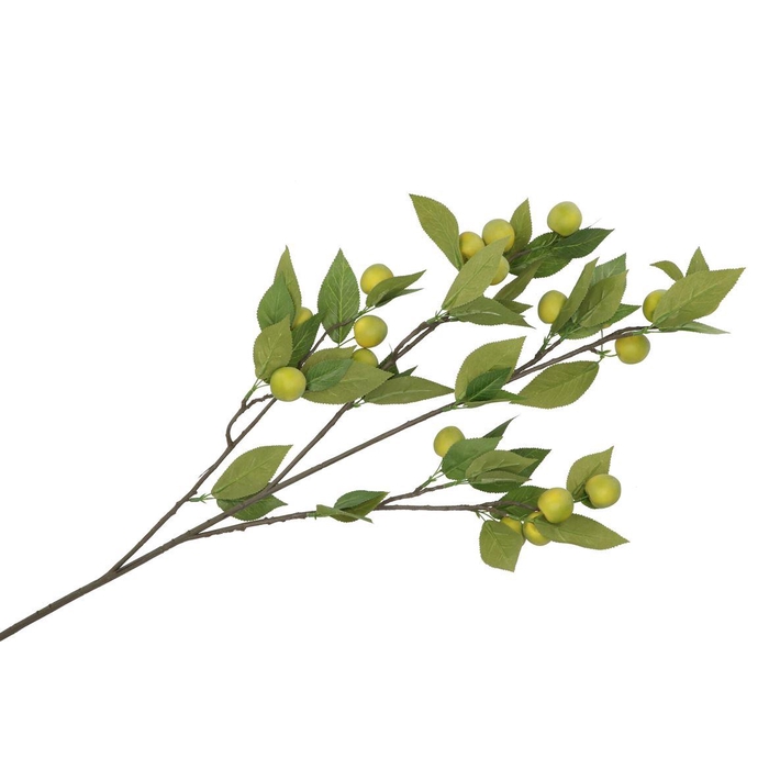 <h4>Silk Apple Plum Claude Green 90cm Nm</h4>