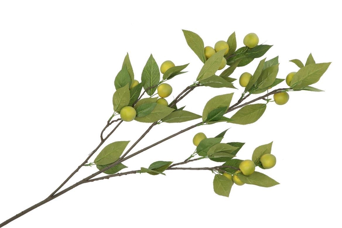 <h4>Silk Apple Plum Claude Green 90cm Nm</h4>