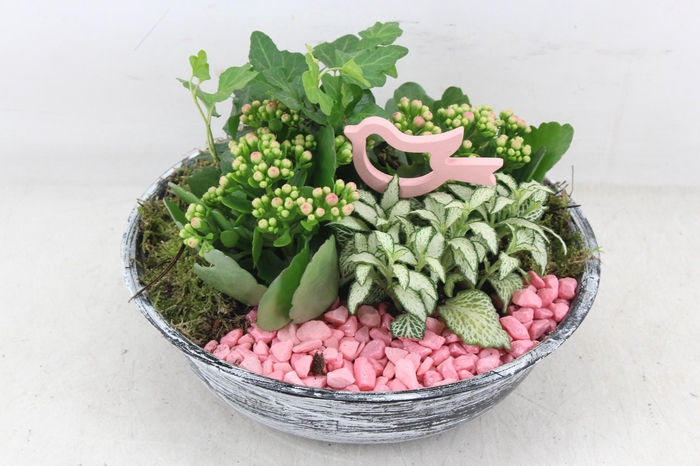 <h4>arr2 PL - Zink antiek schaal - roze</h4>
