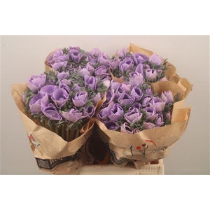 Anemone Powder Lavendel