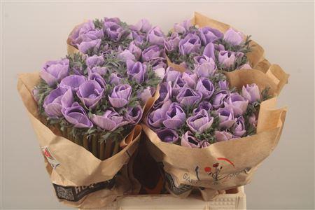 <h4>Anemone Powder Lavendel</h4>