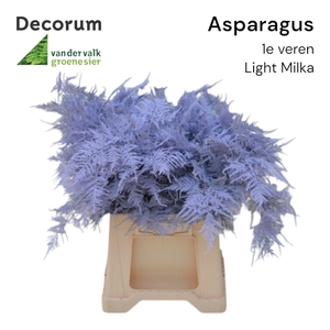 Asp 1e veren Light milka