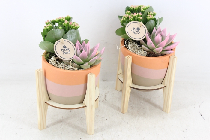 <h4>arr2 PL - Ker. op houten voet roze</h4>