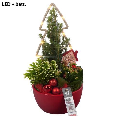 <h4>PTCHR7238 Arrangement Christmas Red in keramiek schaal</h4>
