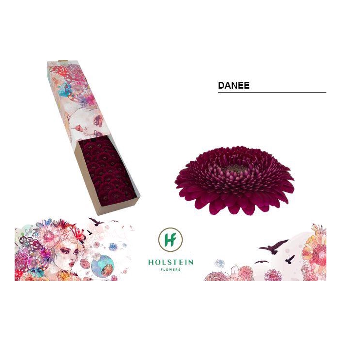 <h4>Ge Bv Gerponi Danee</h4>