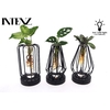 Overig kamerplanten gemengd arrangement MIX-TURIJN Turijn glas + led