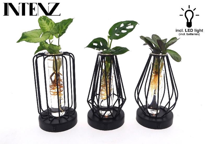 <h4>Overig kamerplanten gemengd arrangement MIX-TURIJN Turijn glas + led</h4>