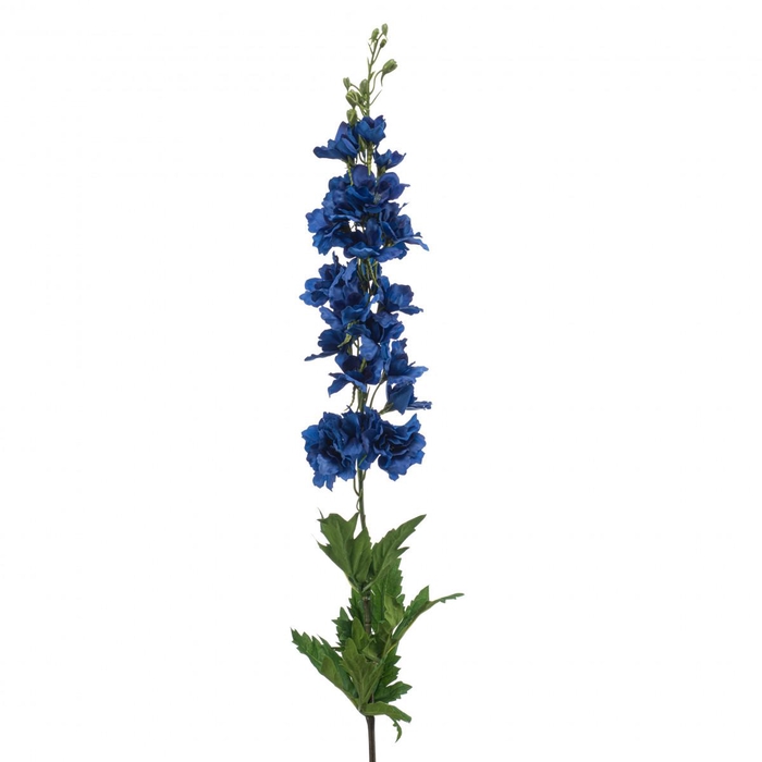 <h4>Delphinium 90cm</h4>
