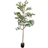 Olive Tree Oriental Pot PP550039GRN