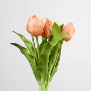 AF Tulip Bundle x7 L31cm Peach