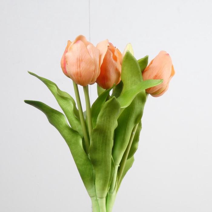 <h4>AF Tulip Bundle x7 L31cm Peach</h4>