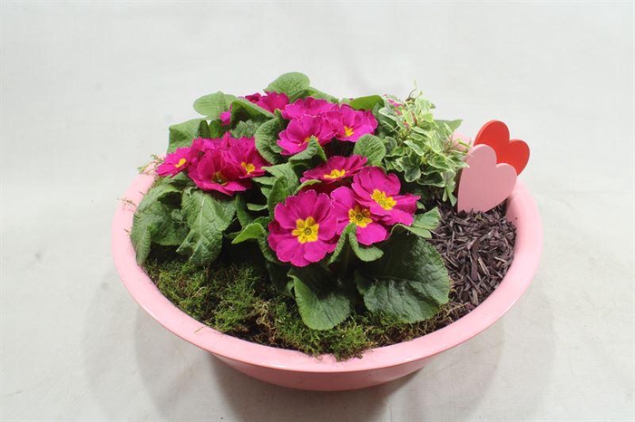 <h4>91210 ZINK PINK XXL</h4>