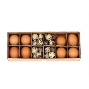 Egg Combi 8 Chicken 24 Quail L-28.2 W-10.6 H-6.5