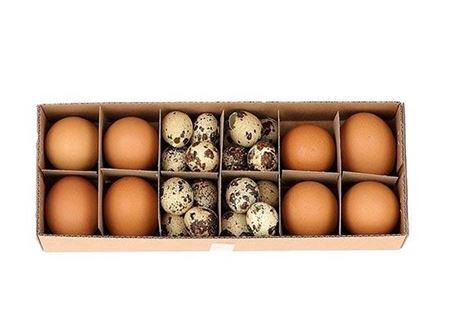<h4>Egg Combi 8 Chicken 24 Quail L-28.2 W-10.6 H-6.5</h4>