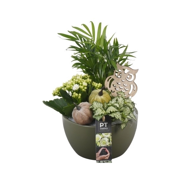 <h4>PTHI5548 Arrangement Herfst Indoor in keramiek schaal</h4>