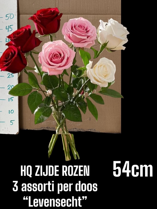 <h4>HUIS EN TUINDECO H%</h4>