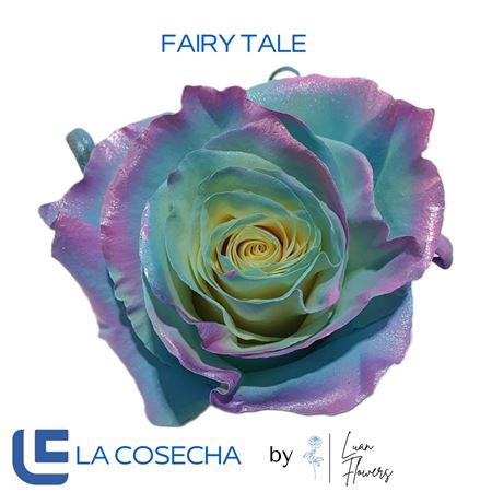 <h4>R GR TINTED FAIRY TALE EQ</h4>