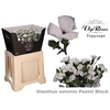 DI SOLOMIO PASTEL BLACK (L50cm)