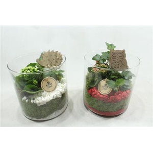 5098 CILINDER BREED RD/WIT