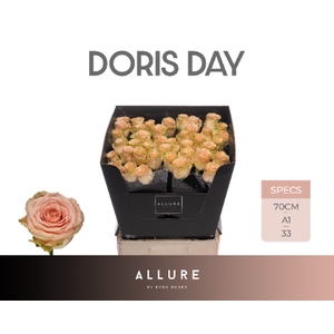 R GR DORIS DAY ALLURE .