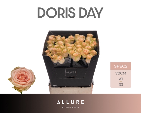 <h4>R GR DORIS DAY ALLURE .</h4>