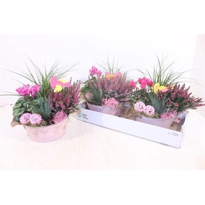 ARR TUINPLANTEN