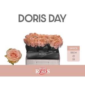 R Gr Doris Day