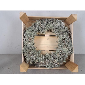 Wreath Ø30cm Nat. Moss 91323