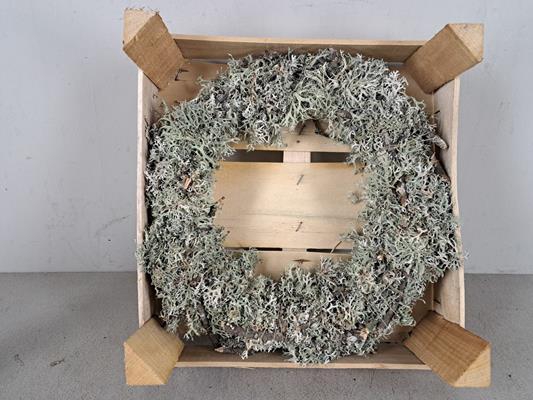 <h4>Wreath Ø30cm Nat. Moss 91323</h4>