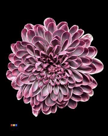 <h4>Chr T Altaj Gothic</h4>