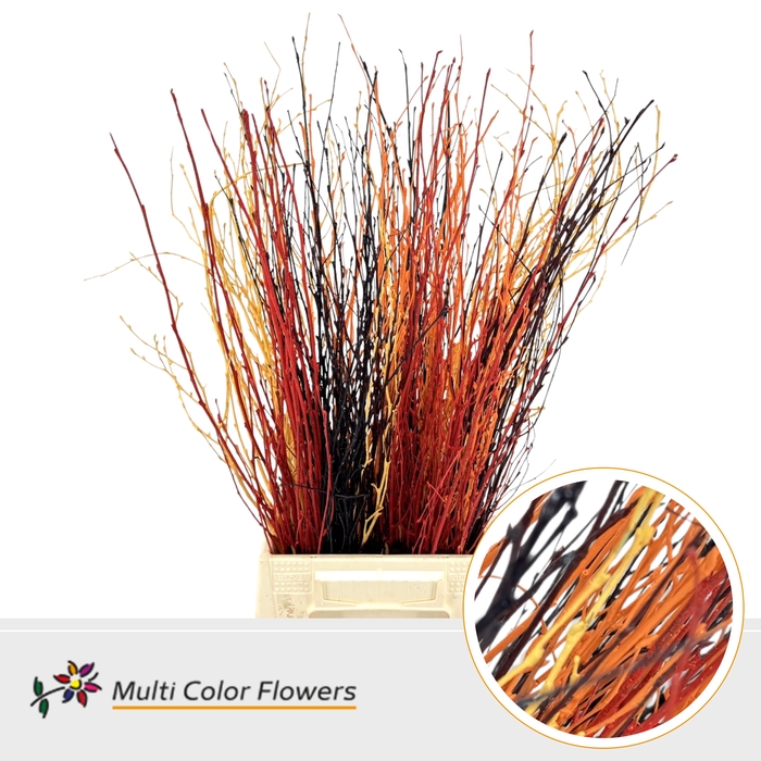 <h4>Berk Herfst Mix</h4>