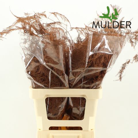 <h4>ASP OV KLB H%</h4>