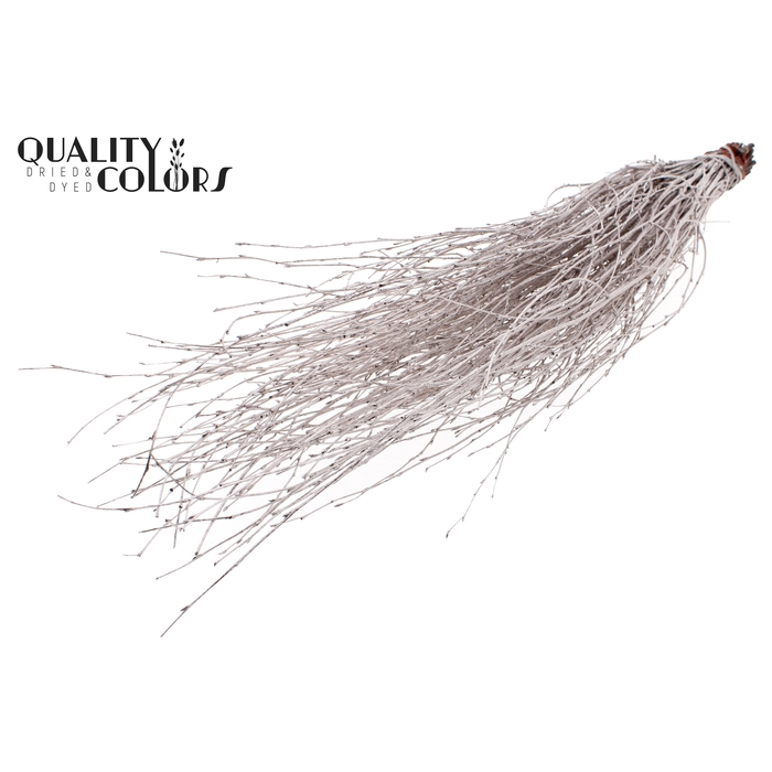 <h4>Birch 70cm 10stems per bunch Champagne</h4>